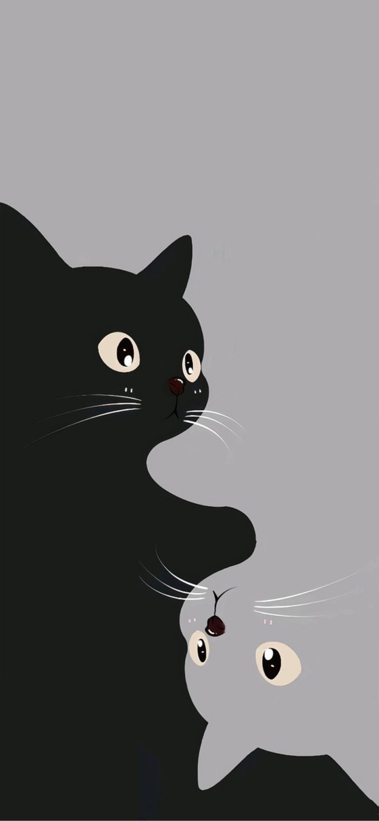 黑猫
